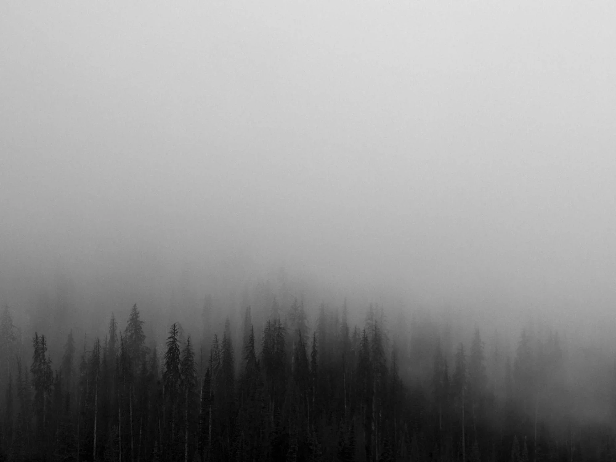 vlastni-projekty-922